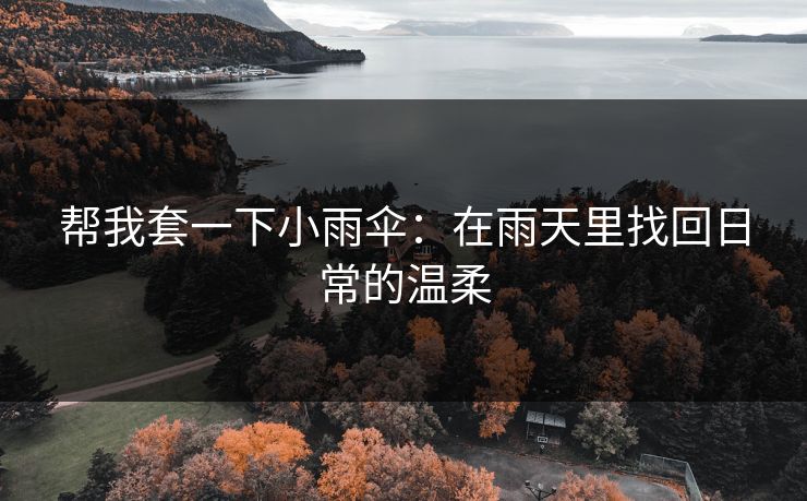 帮我套一下小雨伞：在雨天里找回日常的温柔